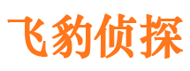 栾川侦探